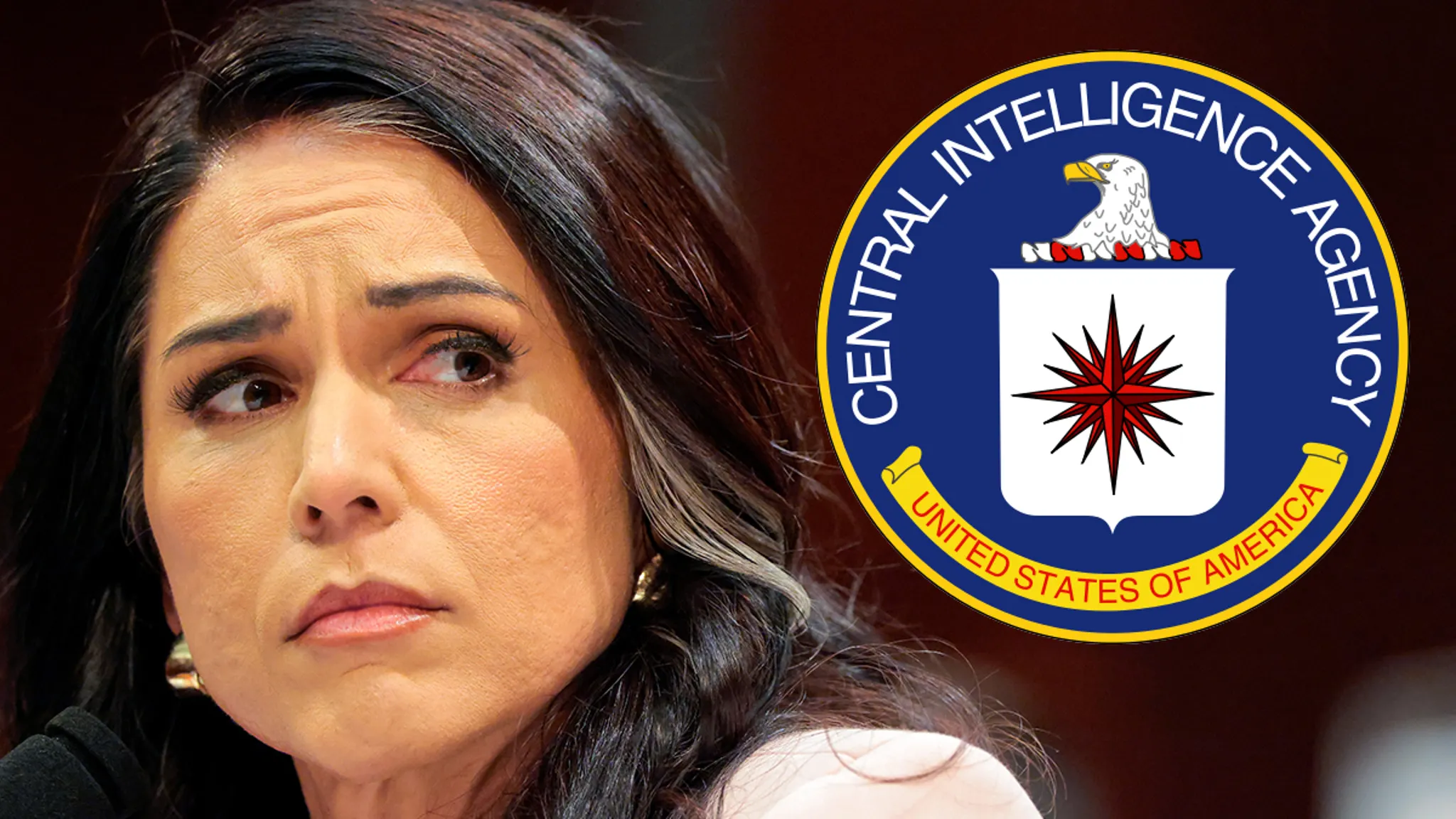 Tulsi Gabbard Spokesperson Denies CIA Raid, After Reports